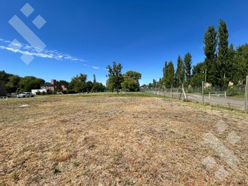 Terreno - La Castellana