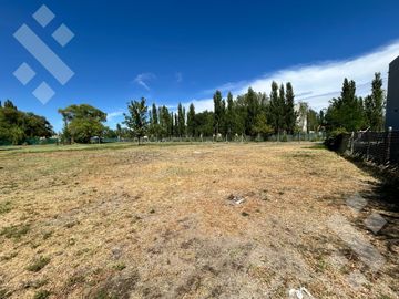 Terreno - La Castellana