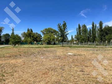 Terreno - La Castellana
