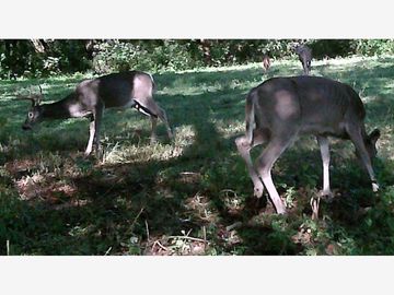 Finca-Rancho en Venta en LA YERBABUENA, Allende, Nuevo León