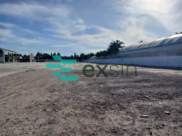 Renta de terreno 16,000 m2 Autopista, cerca de VW
