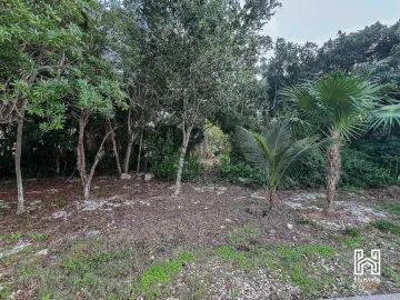 Terreno en Venta en Puerto Aventuras, Solidaridad, Quintana Roo
