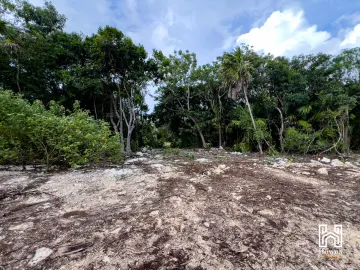 Terreno en Venta en Puerto Aventuras, Solidaridad, Quintana Roo