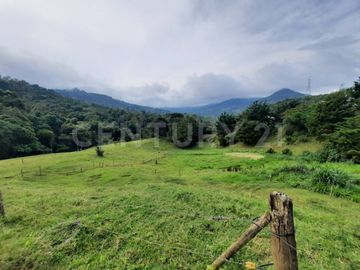 SE VENDE LOTE EN EL SALADITO
