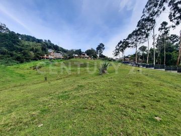 SE VENDE LOTE EN EL SALADITO