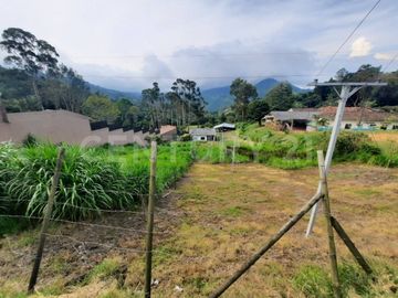 SE VENDE LOTE EN EL SALADITO