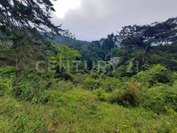 SE VENDE LOTE EN EL SALADITO