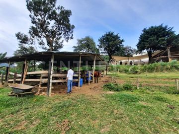 SE VENDE LOTE EN EL SALADITO