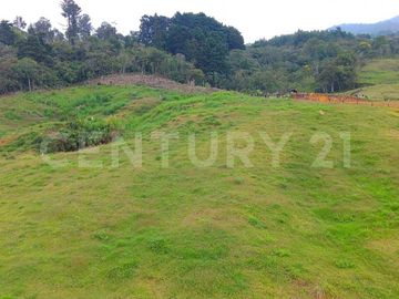 VENDO  LOTE EN CERROS DEL CORCOVADO CORREGIMIENTO SAN CRISTOBAL