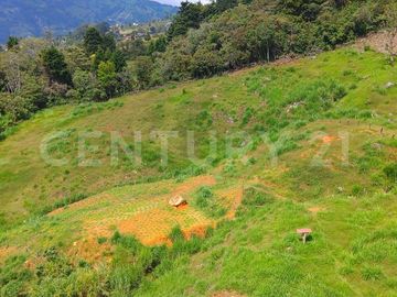 VENDO  LOTE EN CERROS DEL CORCOVADO CORREGIMIENTO SAN CRISTOBAL