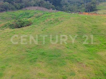 VENDO  LOTE EN CERROS DEL CORCOVADO CORREGIMIENTO SAN CRISTOBAL