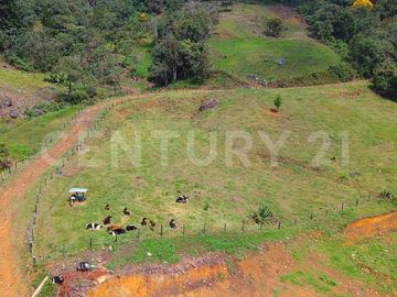 VENDO  LOTE EN CERROS DEL CORCOVADO CORREGIMIENTO SAN CRISTOBAL