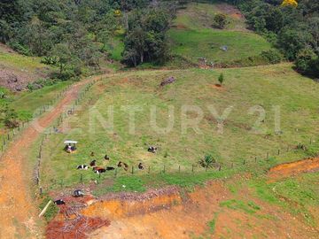 VENDO  LOTE EN CERROS DEL CORCOVADO CORREGIMIENTO SAN CRISTOBAL