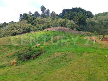 VENDO  LOTE EN CERROS DEL CORCOVADO CORREGIMIENTO SAN CRISTOBAL