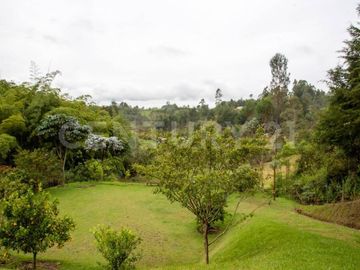 VENTA DE FINCA CON CASA EN MUNICIPIO DE SAN VICENTE FERRER EN ANTIOQUIA