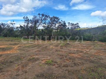 VENDO LOTE EN HORABELLA SAN VICENTE