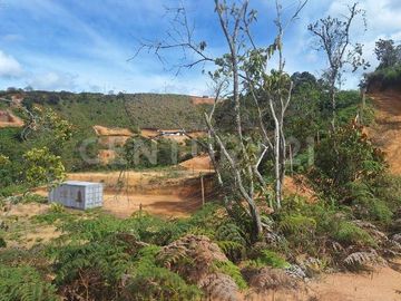 VENDO LOTE EN HORABELLA SAN VICENTE
