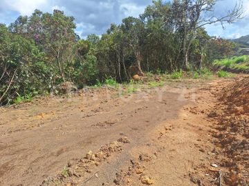 VENDO LOTE EN VEREDA OVEJAS DE SAN VICENTE