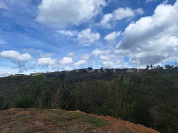 VENDO LOTE EN VEREDA OVEJAS DE SAN VICENTE