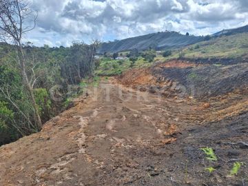 VENDO LOTE EN VEREDA OVEJAS DE SAN VICENTE