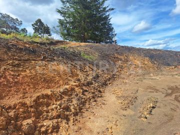 VENDO LOTE EN VEREDA OVEJAS DE SAN VICENTE