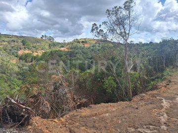 VENDO LOTE EN VEREDA OVEJAS DE SAN VICENTE