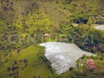 VENDO LOTE EN  OVEJAS, SECTOR HORABUENA,  DE SAN VICENTE