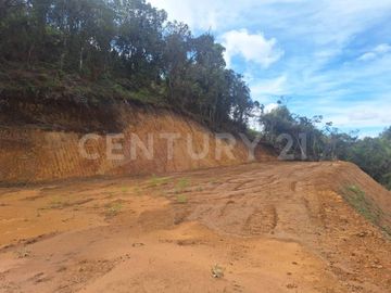VENDO LOTE EN OVEJAS SAN VICENTE