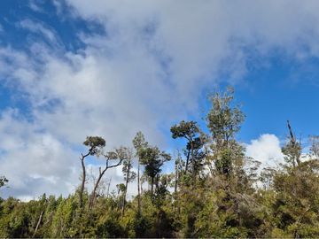 HERMOSA PARCELA EN LOTEO-QUEMCHI/CHILOE