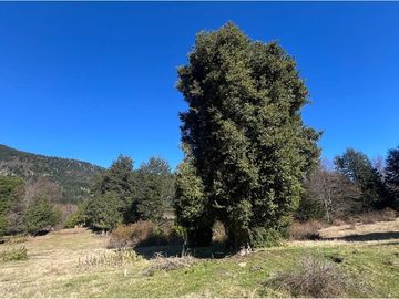 Venta de parcelas de Ensueño en Curarrehue