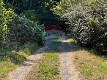 Venta Terreno con vista y acceso a lago Pucón