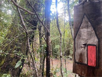 Casa en el bosque en Venta 3D en Pucón