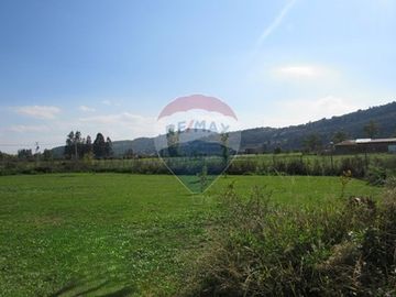 Casa de Campo en Venta: Tranquilidad en Curicó