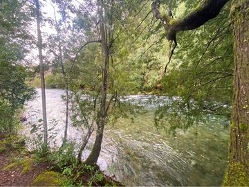 Se Vende Restaurant y Cabañas orilla de rio