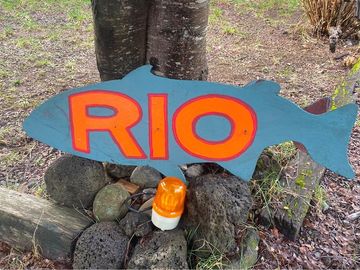 Se Vende Restaurant y Cabañas orilla de rio
