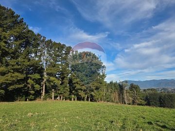 Parcelas Panguipulli en Sector exclusivo.