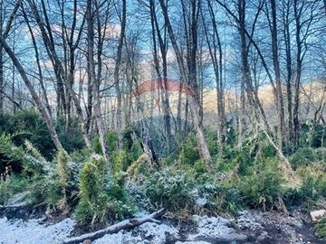 Parcela de 5,000 m2 en Curarrehue, Pucón