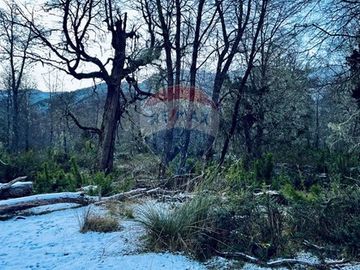 Parcela de 5,000 m2 en Curarrehue, Pucón