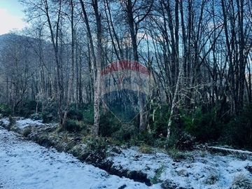 Parcela de 5,000 m2 en Curarrehue, Pucón