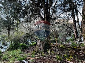 Parcela de 5,000 m2 en Curarrehue, Pucón