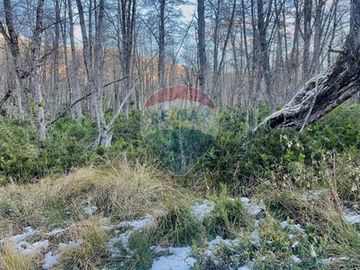 Parcela de 5,000 m2 en Curarrehue, Pucón