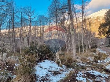 Parcela de 5,000 m2 en Curarrehue, Pucón