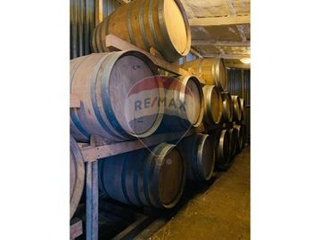 Venta propiedad multifuncional y vitivinícola