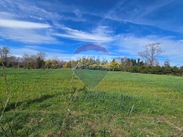 Oasis en Loncoche: Espacio y Serenidad