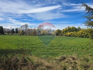 Oasis en Loncoche: Espacio y Serenidad