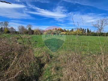 Oasis en Loncoche: Espacio y Serenidad