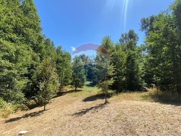 Venta Casa 2D 2B Parcela 5000 m² Huepil