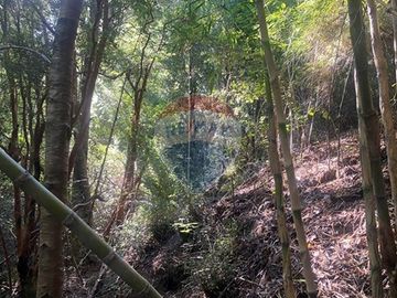 Parcela cercana al Lago Caburgua Pucon