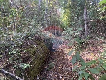 Parcela cercana al Lago Caburgua Pucon