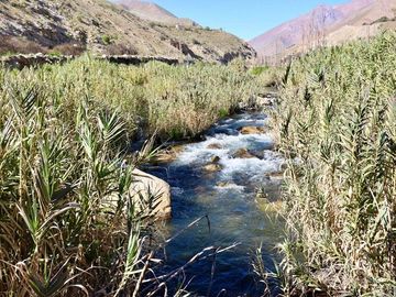 Gran Oportunidad de Inversión - Valle de Elqui